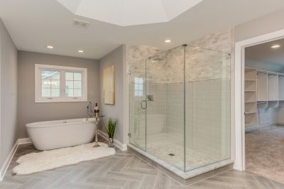 Glass-Enclosed Shower Bath